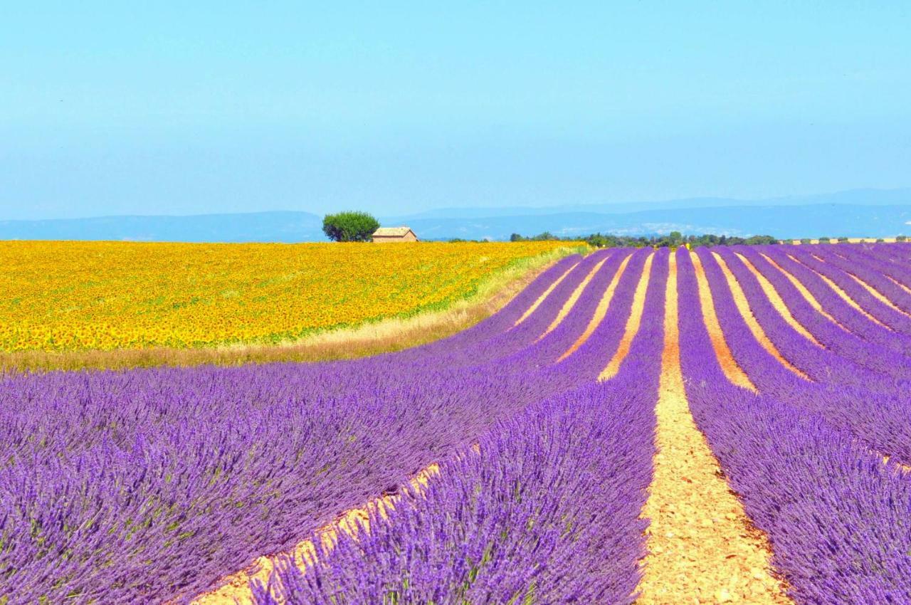 Robion en Luberon Ferme St Roch 빌라 외부 사진